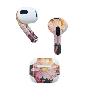 AirPods ��3���� ��p �f�U�C���X�L���V�[�� airpods 3 �p �G�A�|�b�h 3 �p ��O����i2021�j�Ή� 2������ �e2���Z�b�g �C���z�� �J�o�[ �f�R���[�V���� �A�N�Z�T���[ �f�R�V�[�� 023337 �ԁ@�t�����[