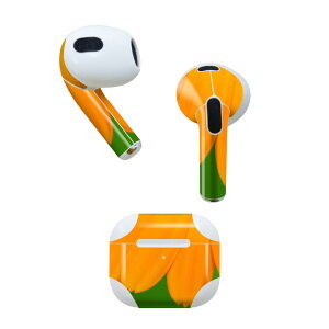 AirPods 3 p fUCXLV[ airpods 3 p GA|bh 3 p Oi2021jΉ 2 e2Zbg Cz Jo[ fR[V ANZT[ fRV[ 023342 Ԃт@t