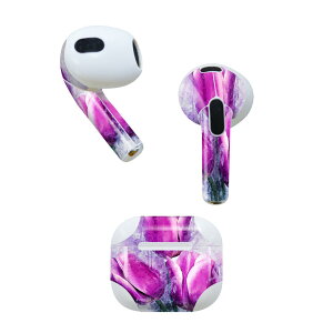 AirPods 3 p fUCXLV[ airpods 3 p GA|bh 3 p Oi2021jΉ 2 e2Zbg Cz Jo[ fR[V ANZT[ fRV[ 023345 ԁ@t[
