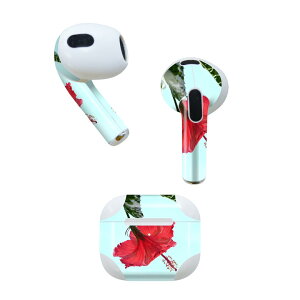 AirPods 3 p fUCXLV[ airpods 3 p GA|bh 3 p Oi2021jΉ 2 e2Zbg Cz Jo[ fR[V ANZT[ fRV[ 023437 ԁ@t[