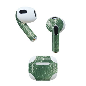 AirPods ��3���� ��p �f�U�C���X�L���V�[�� airpods 3 �p �G�A�|�b�h 3 �p ��O����i2021�j�Ή� 2������ �e2���Z�b�g �C���z�� �J�o�[ �f�R���[�V���� �A�N�Z�T���[ �f�R�V�[�� 023645 �t���ρ@�ā@