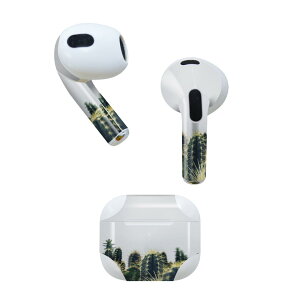 AirPods ��3���� ��p �f�U�C���X�L���V�[�� airpods 3 �p �G�A�|�b�h 3 �p ��O����i2021�j�Ή� 2������ �e2���Z�b�g �C���z�� �J�o�[ �f�R���[�V���� �A�N�Z�T���[ �f�R�V�[�� 023686 �T�{�e���@�A