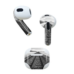 AirPods ��3���� ��p �f�U�C���X�L���V�[�� airpods 3 �p �G�A�|�b�h 3 �p ��O����i2021�j�Ή� 2������ �e2���Z�b�g �C���z�� �J�o�[ �f�R���[�V���� �A�N�Z�T���[ �f�R�V�[�� 023710 �S���@���[��