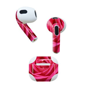 AirPods ��3���� ��p �f�U�C���X�L���V�[�� airpods 3 �p �G�A�|�b�h 3 �p ��O����i2021�j�Ή� 2������ �e2���Z�b�g �C���z�� �J�o�[ �f�R���[�V���� �A�N�Z�T���[ �f�R�V�[�� 023738 �ԁ@�t�����[