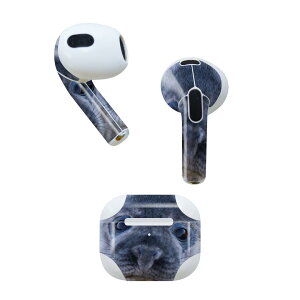 AirPods 3 p fUCXLV[ airpods 3 p GA|bh 3 p Oi2021jΉ 2 e2Zbg Cz Jo[ fR[V ANZT[ fRV[ 023781 炵@