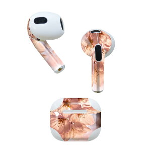 AirPods 3 p fUCXLV[ airpods 3 p GA|bh 3 p Oi2021jΉ 2 e2Zbg Cz Jo[ fR[V ANZT[ fRV[ 023826 ԁ@t[