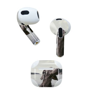 AirPods 3 p fUCXLV[ airpods 3 p GA|bh 3 p Oi2021jΉ 2 e2Zbg Cz Jo[ fR[V ANZT[ fRV[ 023964 @@