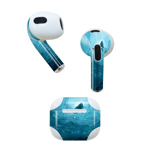 AirPods ��3���� ��p �f�U�C���X�L���V�[�� airpods 3 �p �G�A�|�b�h 3 �p ��O����i2021�j�Ή� 2������ �e2���Z�b�g �C���z�� �J�o�[ �f�R���[�V���� �A�N�Z�T���[ �f�R�V�[�� 023967 �T���@�C