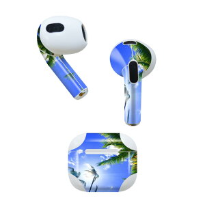 AirPods 3 p fUCXLV[ airpods 3 p GA|bh 3 p Oi2021jΉ 2 e2Zbg Cz Jo[ fR[V ANZT[ fRV[ 025803 V̖؁@