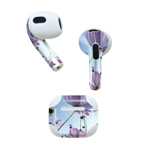 AirPods ��3���� ��p �f�U�C���X�L���V�[�� airpods 3 �p �G�A�|�b�h 3 �p ��O����i2021�j�Ή� 2������ �e2���Z�b�g �C���z�� �J�o�[ �f�R���[�V���� �A�N�Z�T���[ �f�R�V�[�� 025826 �ԁ@�R�X���X