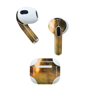 AirPods ��3���� ��p �f�U�C���X�L���V�[�� airpods 3 �p �G�A�|�b�h 3 �p ��O����i2021�j�Ή� 2������ �e2���Z�b�g �C���z�� �J�o�[ �f�R���[�V���� �A�N�Z�T���[ �f�R�V�[�� 025915 �t�F���X�@��