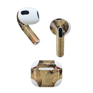 AirPods 3 p fUCXLV[ airpods 3 p GA|bh 3 p Oi2021jΉ 2 e2Zbg Cz Jo[ fR[V ANZT[ fRV[ 025966 l@r[`