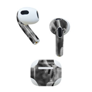AirPods 3 p fUCXLV[ airpods 3 p GA|bh 3 p Oi2021jΉ 2 e2Zbg Cz Jo[ fR[V ANZT[ fRV[ 026012 V@mN