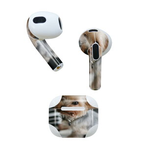 AirPods 3 p fUCXLV[ airpods 3 p GA|bh 3 p Oi2021jΉ 2 e2Zbg Cz Jo[ fR[V ANZT[ fRV[ 004565 @ʐ^@s