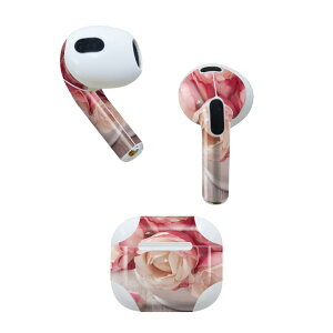 AirPods ��3���� ��p �f�U�C���X�L���V�[�� airpods 3 �p �G�A�|�b�h 3 �p ��O����i2021�j�Ή� 2������ �e2���Z�b�g �C���z�� �J�o�[ �f�R���[�V���� �A�N�Z�T���[ �f�R�V�[�� 004763 �ԁ@�s���N�@