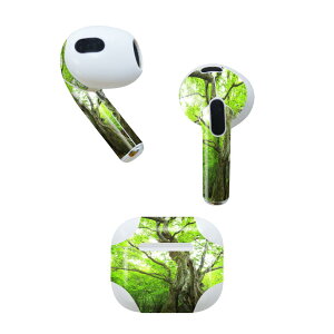 AirPods 3 p fUCXLV[ airpods 3 p GA|bh 3 p Oi2021jΉ 2 e2Zbg Cz Jo[ fR[V ANZT[ fRV[ 005452 ʐ^@X@A