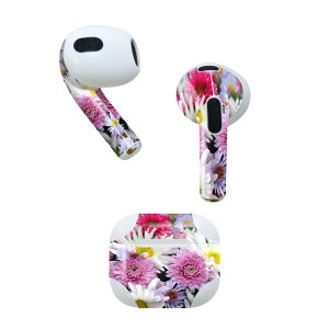 AirPods 3 p fUCXLV[ airpods 3 p GA|bh 3 p Oi2021jΉ 2 e2Zbg Cz Jo[ fR[V ANZT[ fRV[ 005531 ʐ^@