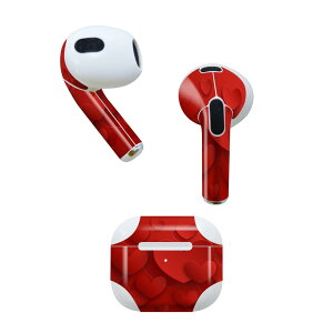 AirPods 3 p fUCXLV[ airpods 3 p GA|bh 3 p Oi2021jΉ 2 e2Zbg Cz Jo[ fR[V ANZT[ fRV[ 005706 ԁ@bh@
