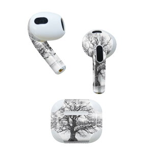 AirPods ��3���� ��p �f�U�C���X�L���V�[�� airpods 3 �p �G�A�|�b�h 3 �p ��O����i2021�j�Ή� 2������ �e2���Z�b�g �C���z�� �J�o�[ �f�R���[�V���� �A�N�Z�T���[ �f�R�V�[�� 006011 �C���X�g�@�A