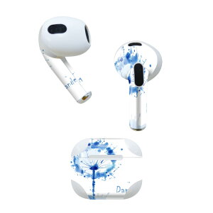 AirPods ��3���� ��p �f�U�C���X�L���V�[�� airpods 3 �p �G�A�|�b�h 3 �p ��O����i2021�j�Ή� 2������ �e2���Z�b�g �C���z�� �J�o�[ �f�R���[�V���� �A�N�Z�T���[ �f�R�V�[�� 006604 �@�u���[