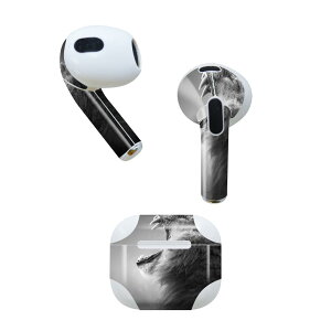 AirPods ��3���� ��p �f�U�C���X�L���V�[�� airpods 3 �p �G�A�|�b�h 3 �p ��O����i2021�j�Ή� 2������ �e2���Z�b�g �C���z�� �J�o�[ �f�R���[�V���� �A�N�Z�T���[ �f�R�V�[�� 007863 �ʐ^�@���m�N