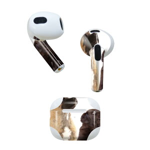 AirPods 3 p fUCXLV[ airpods 3 p GA|bh 3 p Oi2021jΉ 2 e2Zbg Cz Jo[ fR[V ANZT[ fRV[ 008364 ʐ^@@L
