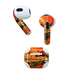AirPods 3 p fUCXLV[ airpods 3 p GA|bh 3 p Oi2021jΉ 2 e2Zbg Cz Jo[ fR[V ANZT[ fRV[ 008505 ʐ^@H@g
