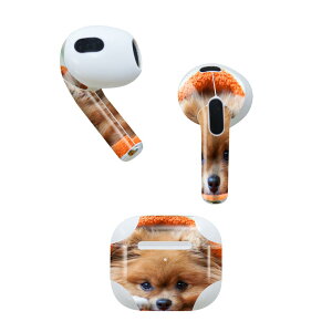 AirPods 3 p fUCXLV[ airpods 3 p GA|bh 3 p Oi2021jΉ 2 e2Zbg Cz Jo[ fR[V ANZT[ fRV[ 008644 Aj} @