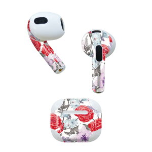 AirPods ��3���� ��p �f�U�C���X�L���V�[�� airpods 3 �p �G�A�|�b�h 3 �p ��O����i2021�j�Ή� 2������ �e2���Z�b�g �C���z�� �J�o�[ �f�R���[�V���� �A�N�Z�T���[ �f�R�V�[�� 008801 �C���X�g�@��