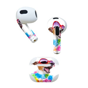 AirPods 3 p fUCXLV[ airpods 3 p GA|bh 3 p Oi2021jΉ 2 e2Zbg Cz Jo[ fR[V ANZT[ fRV[ 008914 ʐ^@Jt