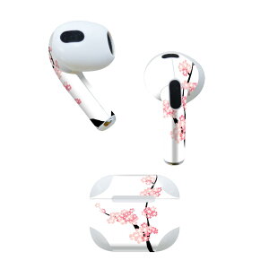 AirPods ��3���� ��p �f�U�C���X�L���V�[�� airpods 3 �p �G�A�|�b�h 3 �p ��O����i2021�j�Ή� 2������ �e2���Z�b�g �C���z�� �J�o�[ �f�R���[�V���� �A�N�Z�T���[ �f�R�V�[�� 009524 �@���@�s���N