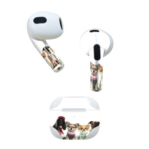 AirPods 3 p fUCXLV[ airpods 3 p GA|bh 3 p Oi2021jΉ 2 e2Zbg Cz Jo[ fR[V ANZT[ fRV[ 009810 @@