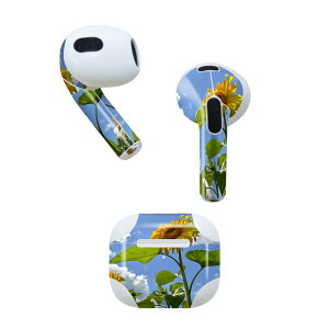 AirPods ��3���� ��p �f�U�C���X�L���V�[�� airpods 3 �p �G�A�|�b�h 3 �p ��O����i2021�j�Ή� 2������ �e2���Z�b�g �C���z�� �J�o�[ �f�R���[�V���� �A�N�Z�T���[ �f�R�V�[�� 011366 �ԁ@�Ђ܂��