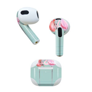 AirPods ��3���� ��p �f�U�C���X�L���V�[�� airpods 3 �p �G�A�|�b�h 3 �p ��O����i2021�j�Ή� 2������ �e2���Z�b�g �C���z�� �J�o�[ �f�R���[�V���� �A�N�Z�T���[ �f�R�V�[�� 011652 �t���~���S�@