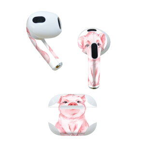 AirPods 3 p fUCXLV[ airpods 3 p GA|bh 3 p Oi2021jΉ 2 e2Zbg Cz Jo[ fR[V ANZT[ fRV[ 013412 ؁@@C