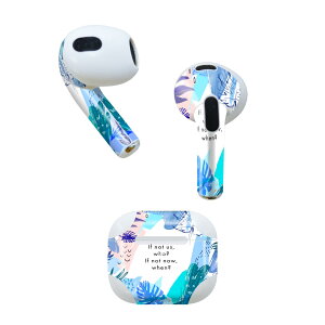 AirPods 3 p fUCXLV[ airpods 3 p GA|bh 3 p Oi2021jΉ 2 e2Zbg Cz Jo[ fR[V ANZT[ fRV[ 014305 [t@g