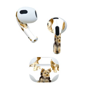 AirPods 3 p fUCXLV[ airpods 3 p GA|bh 3 p Oi2021jΉ 2 e2Zbg Cz Jo[ fR[V ANZT[ fRV[ 014619 @@A