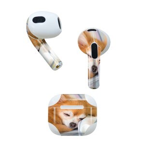 AirPods 3 p fUCXLV[ airpods 3 p GA|bh 3 p Oi2021jΉ 2 e2Zbg Cz Jo[ fR[V ANZT[ fRV[ 014826 @`@
