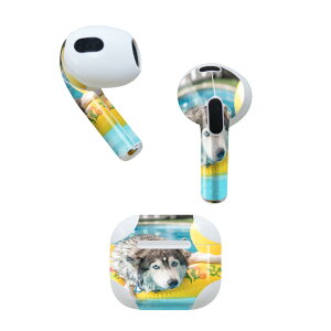 AirPods 3 p fUCXLV[ airpods 3 p GA|bh 3 p Oi2021jΉ 2 e2Zbg Cz Jo[ fR[V ANZT[ fRV[ 014842 @VxA