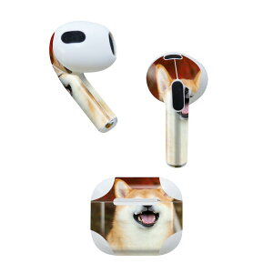 AirPods 3 p fUCXLV[ airpods 3 p GA|bh 3 p Oi2021jΉ 2 e2Zbg Cz Jo[ fR[V ANZT[ fRV[ 015611 @킢