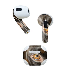 AirPods 3 p fUCXLV[ airpods 3 p GA|bh 3 p Oi2021jΉ 2 e2Zbg Cz Jo[ fR[V ANZT[ fRV[ 018325  ʐ^