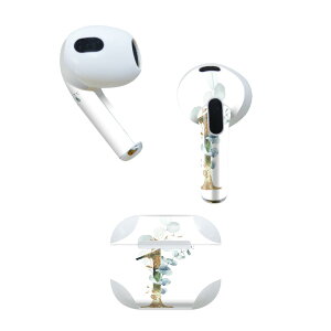 AirPods 3 p fUCXLV[ airpods 3 p GA|bh 3 p Oi2021jΉ 2 e2Zbg Cz Jo[ fR[V ANZT[ fRV[ 019110 tHg 