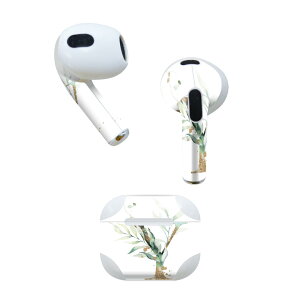 AirPods 3 p fUCXLV[ airpods 3 p GA|bh 3 p Oi2021jΉ 2 e2Zbg Cz Jo[ fR[V ANZT[ fRV[ 019142 tHg 