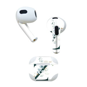 AirPods 3 p fUCXLV[ airpods 3 p GA|bh 3 p Oi2021jΉ 2 e2Zbg Cz Jo[ fR[V ANZT[ fRV[ 019404 tHg 