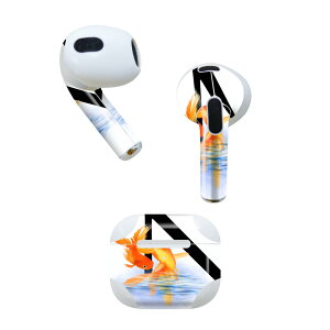 AirPods ��3���� ��p �f�U�C���X�L���V�[�� airpods 3 �p �G�A�|�b�h 3 �p ��O����i2021�j�Ή� 2������ �e2���Z�b�g �C���z�� �J�o�[ �f�R���[�V���� �A�N�Z�T���[ �f�R�V�[�� 019456 �t�H���g ����