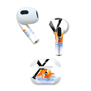 AirPods 3 p fUCXLV[ airpods 3 p GA|bh 3 p Oi2021jΉ 2 e2Zbg Cz Jo[ fR[V ANZT[ fRV[ 019466 tHg 