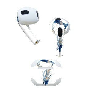 AirPods 3 p fUCXLV[ airpods 3 p GA|bh 3 p Oi2021jΉ 2 e2Zbg Cz Jo[ fR[V ANZT[ fRV[ 019650 tHg 