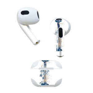 AirPods 3 p fUCXLV[ airpods 3 p GA|bh 3 p Oi2021jΉ 2 e2Zbg Cz Jo[ fR[V ANZT[ fRV[ 019661 tHg 