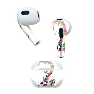 AirPods 3 p fUCXLV[ airpods 3 p GA|bh 3 p Oi2021jΉ 2 e2Zbg Cz Jo[ fR[V ANZT[ fRV[ 019681 tHg 
