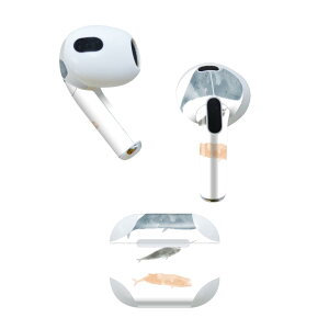 AirPods 3 p fUCXLV[ airpods 3 p GA|bh 3 p Oi2021jΉ 2 e2Zbg Cz Jo[ fR[V ANZT[ fRV[ 019914 C̐ 